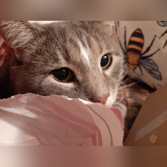 Meet your Posher - Picture 6 of 9